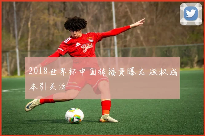2018世界杯中国转播费曝光 版权成本引关注