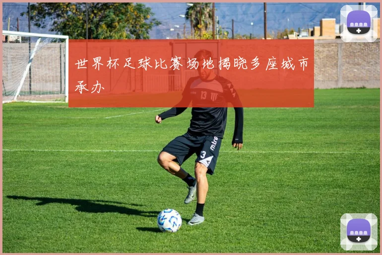 世界杯足球比赛场地揭晓多座城市承办
