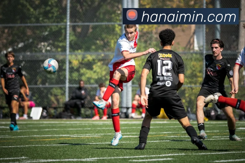 世界杯官网登录app平台生态图